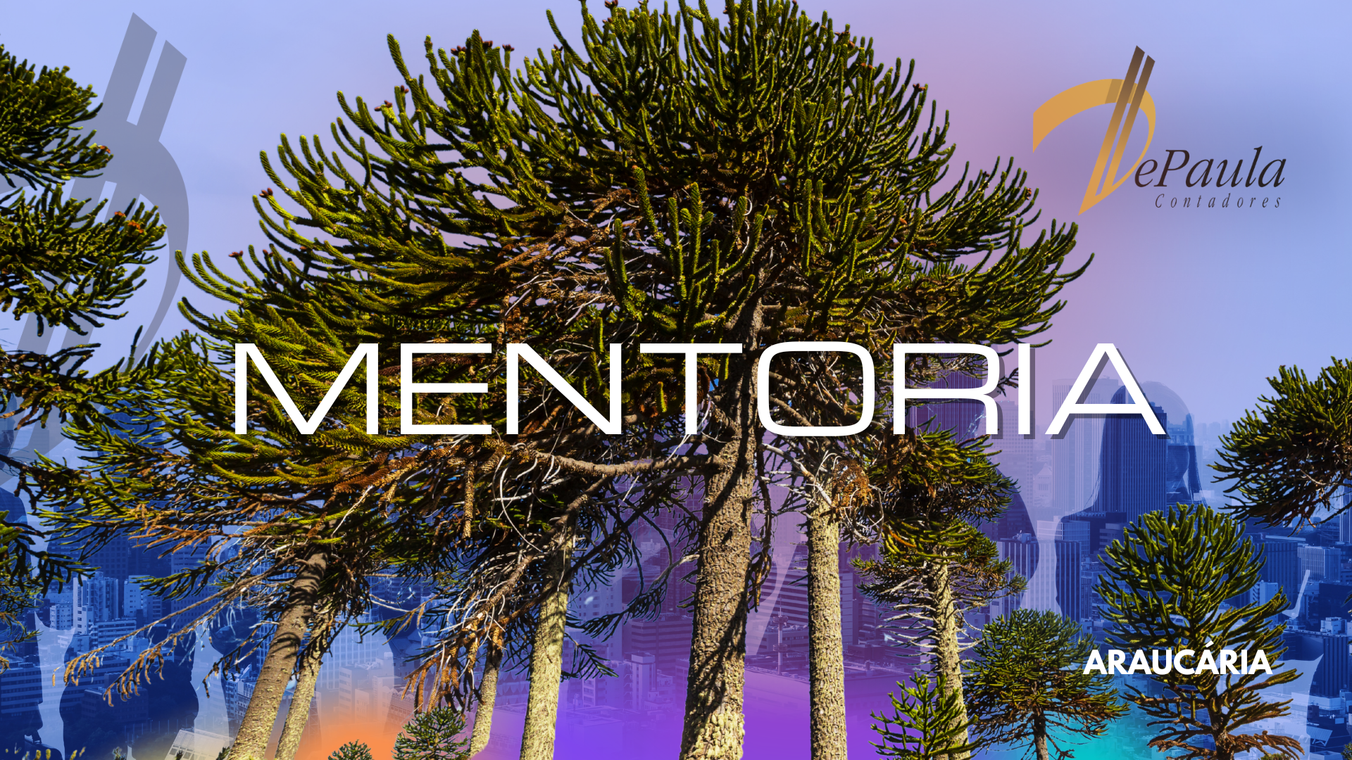 Mentoria
